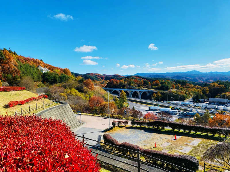 バンビさんの平尾温泉 みはらしの湯のサ活写真