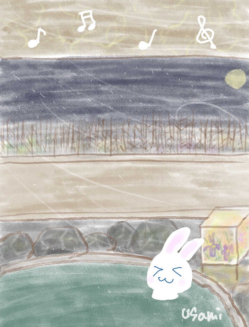 うさみさんの天都の湯 ドーミーイン網走のサ活写真
