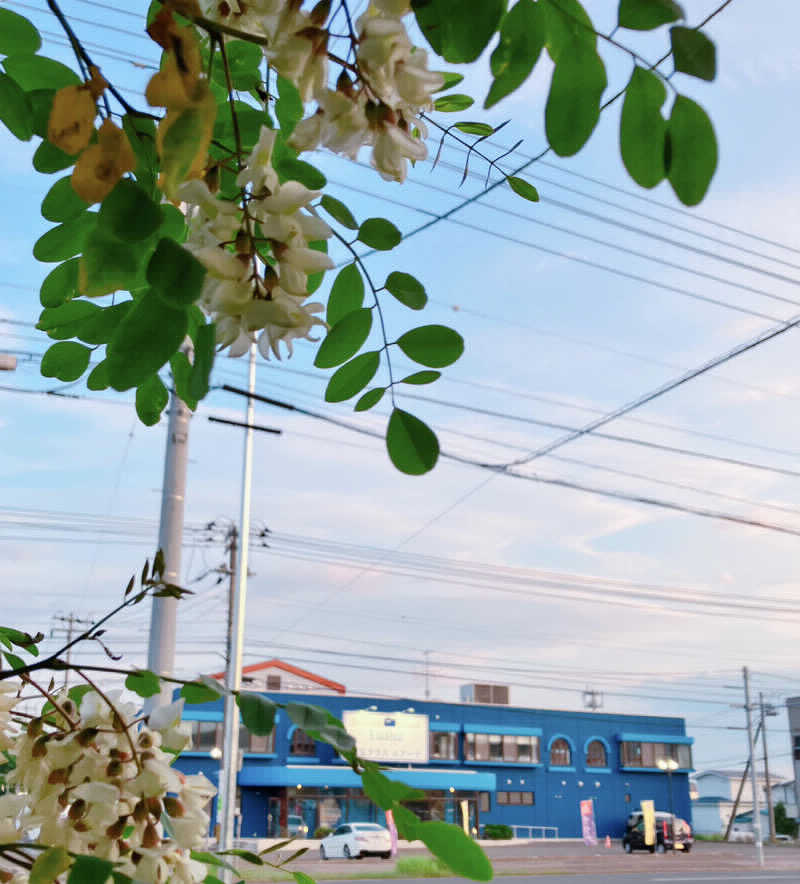 うさみさんのサウナ アッセ・デ〜ルのサ活写真