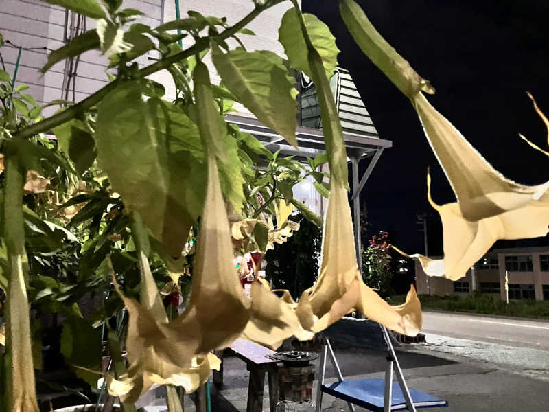 うさみさんの高栄湯のサ活写真