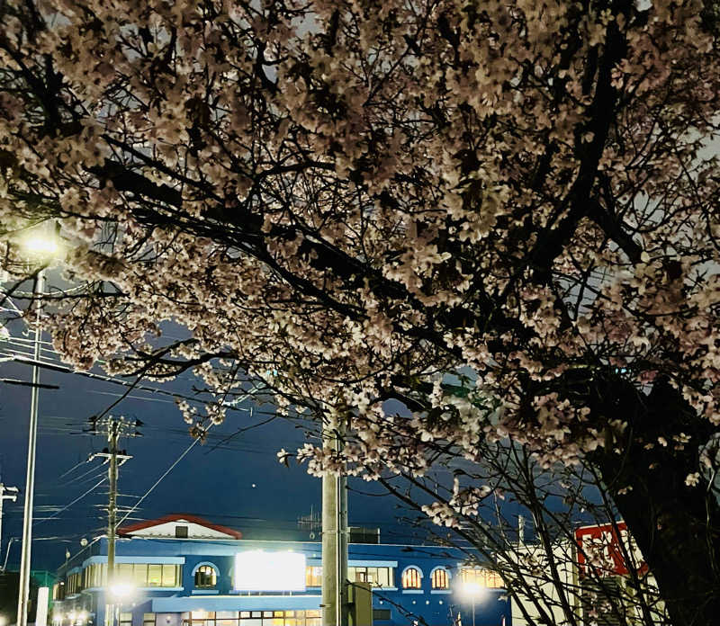 うさみさんのサウナ アッセ・デ〜ルのサ活写真