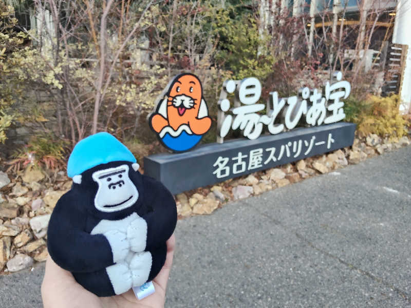 トトノイーヌさんの湯〜とぴあ宝のサ活写真
