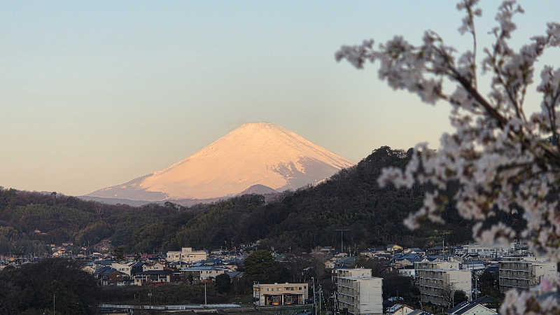 髪結い師 YUTAさんの大磯プリンスホテル THERMAL SPA S.WAVEのサ活写真