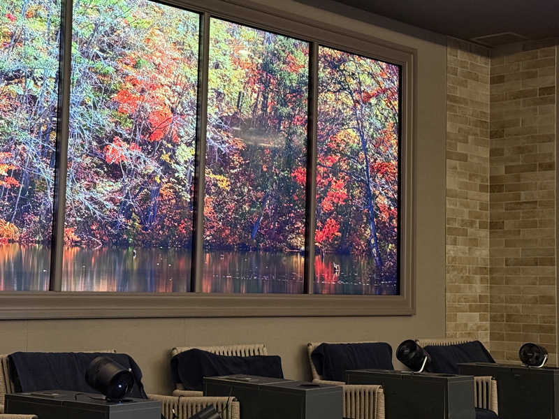 SoratabiTさんのLedian Spa Ebisu (レディアンスパ恵比寿)のサ活写真