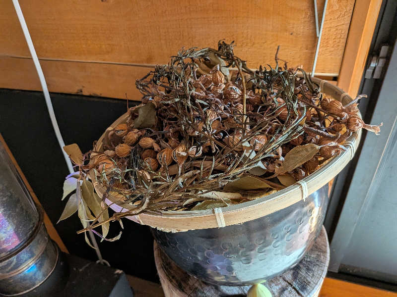 プニコさんの山賊サウナのサ活写真