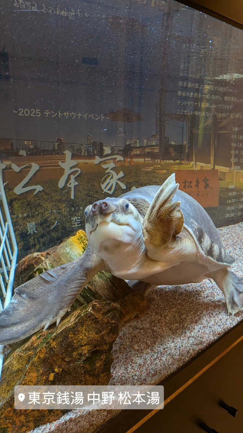 プニコさんの松本湯のサ活写真