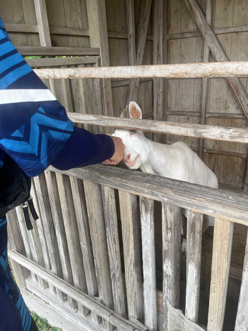 さうなでしこさんの山羊島ホテルのサ活写真