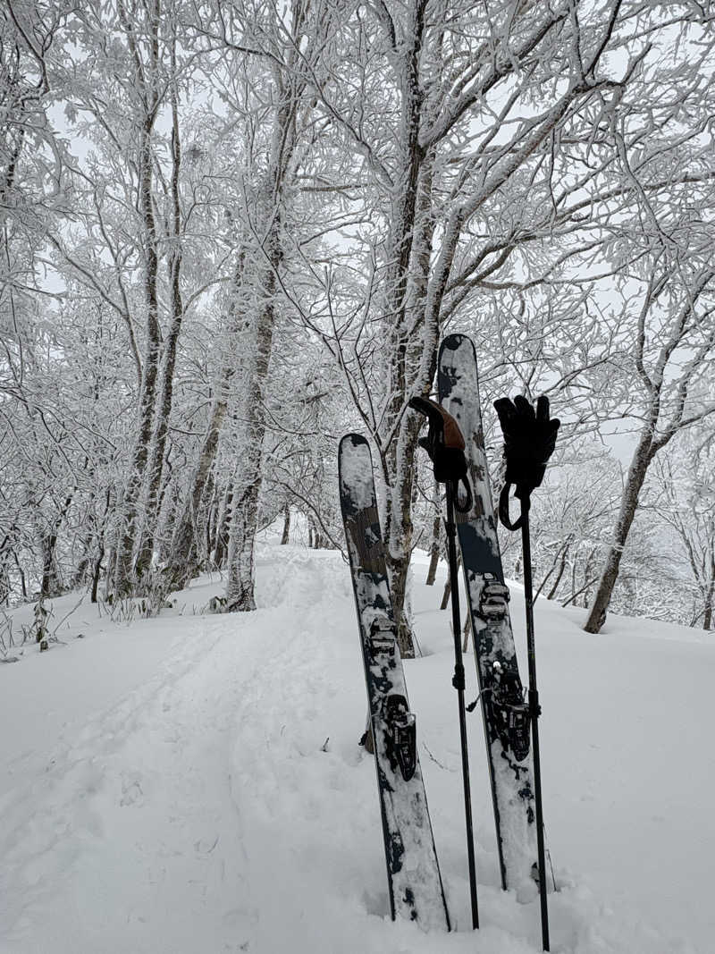 真嗣さんのルスツリゾートホテル ルスツ温泉 ことぶきの湯のサ活写真