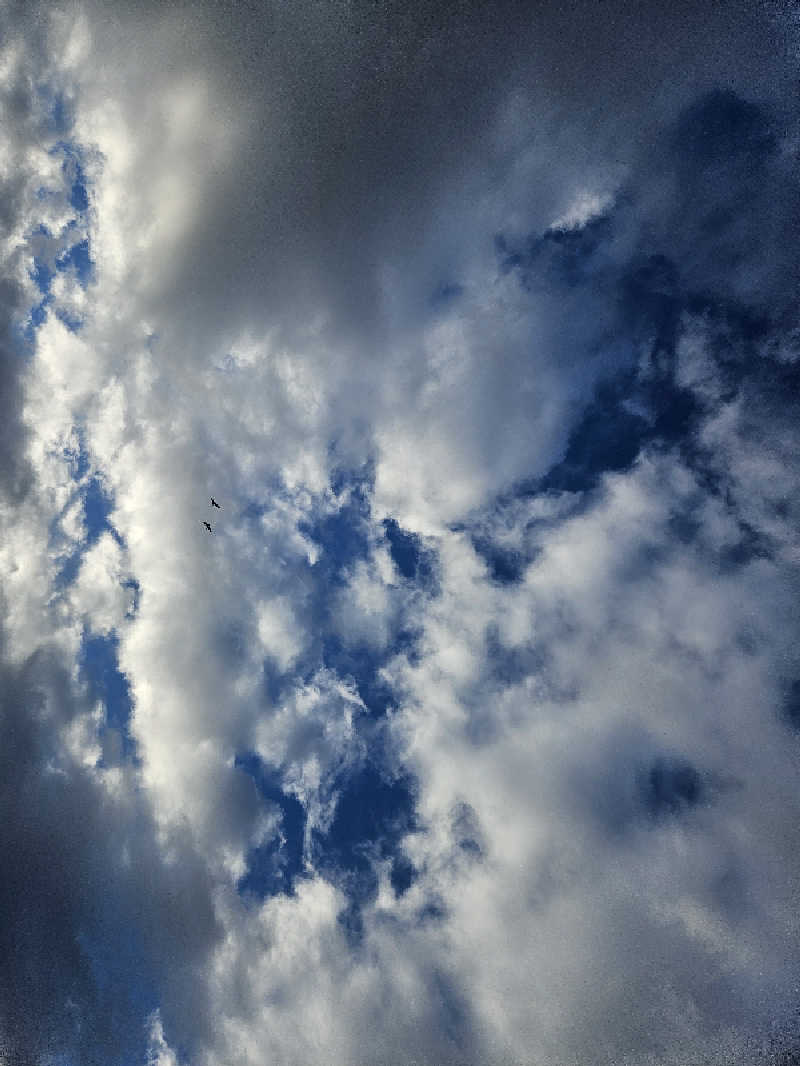 ひろっぺさんの花輪温泉ゆたろうのサ活写真