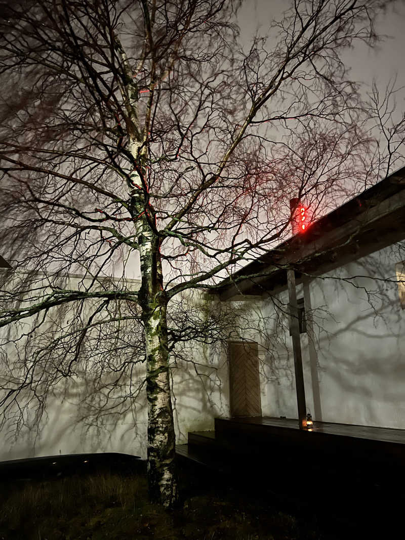 ぬーぬさんのKulttuurisaunaのサ活写真