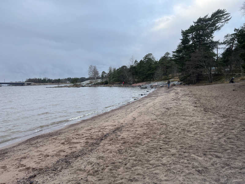 ぬーぬさんのSompasaunaのサ活写真