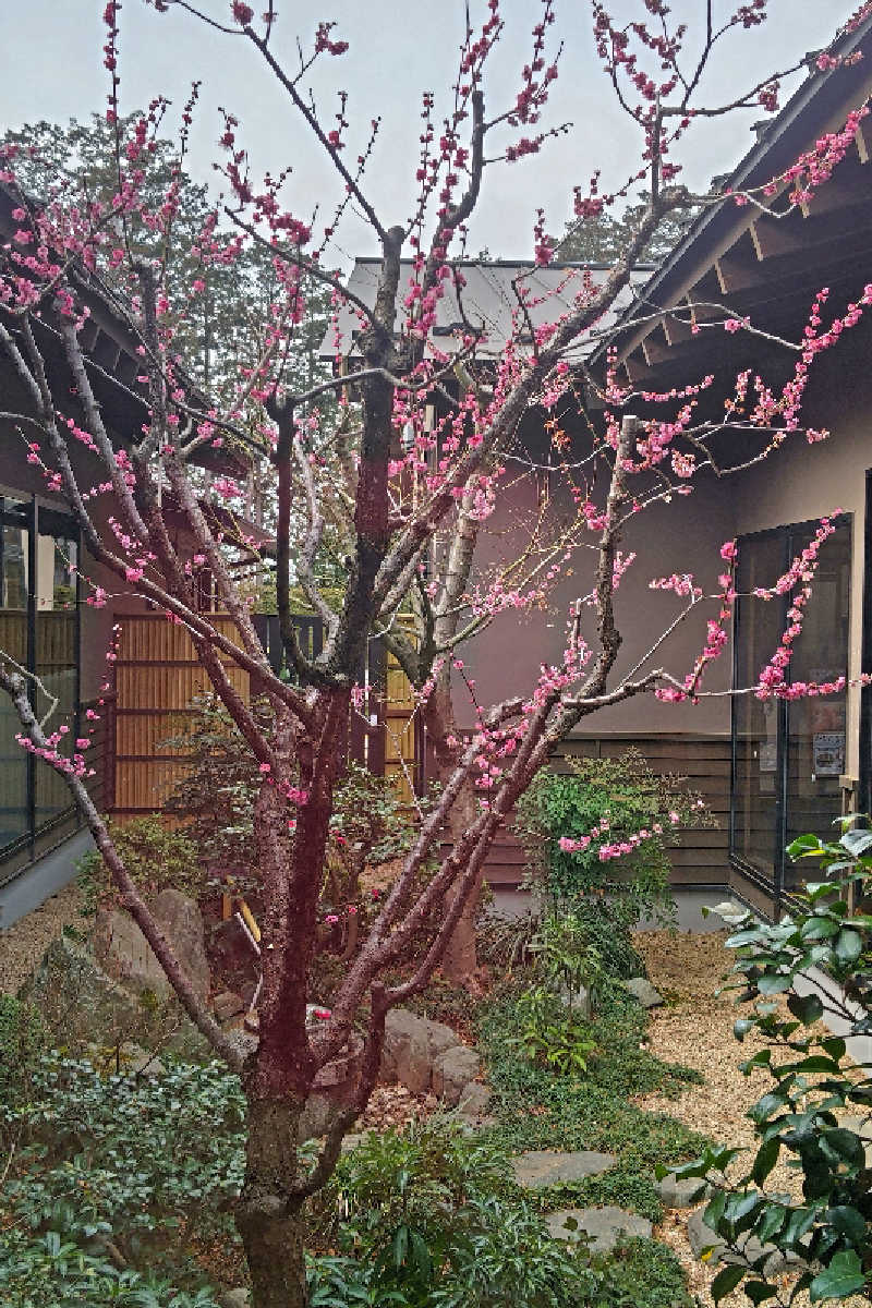 おはなちゃんさんのつくば温泉 喜楽里 別邸のサ活写真
