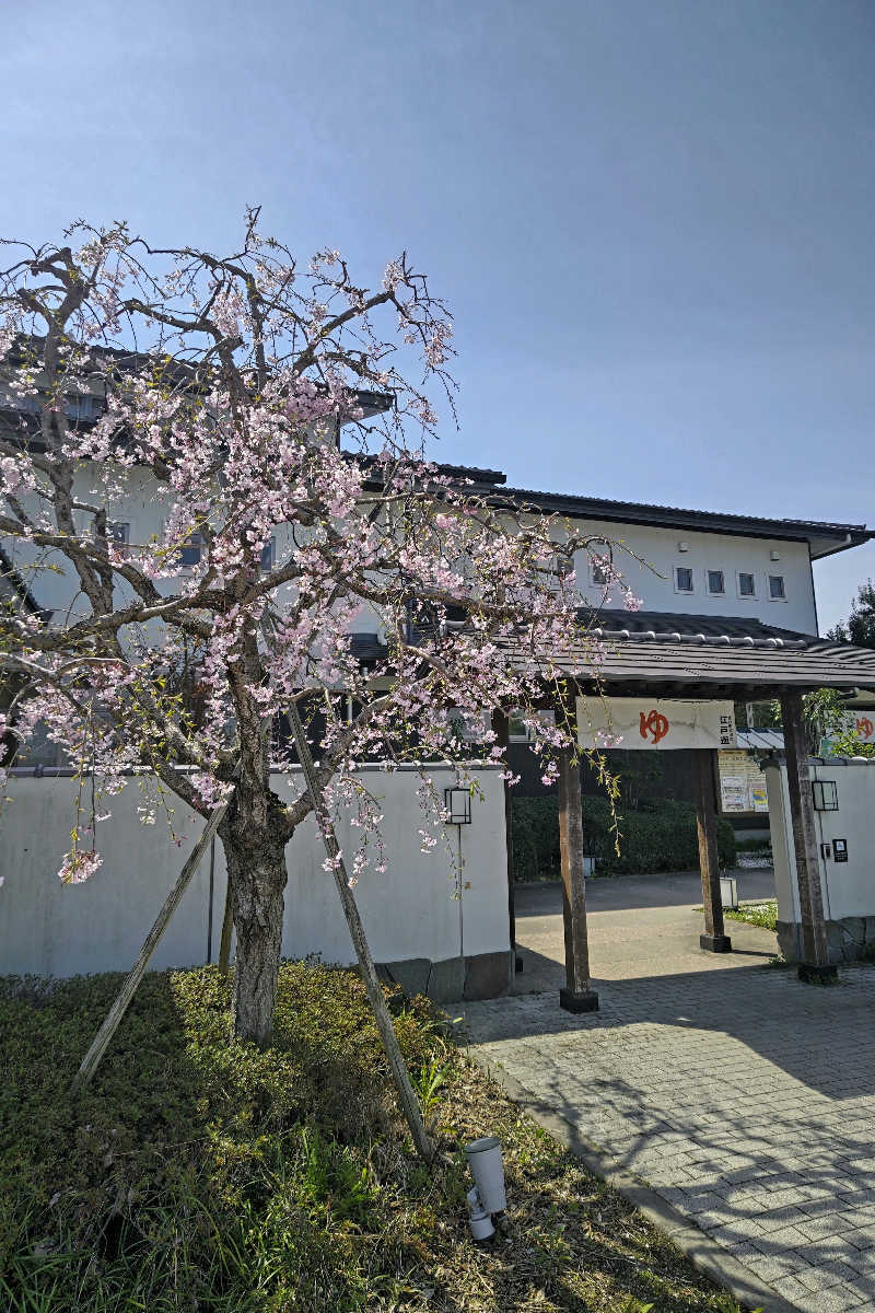 おはなちゃんさんの宮の街道温泉 江戸遊のサ活写真