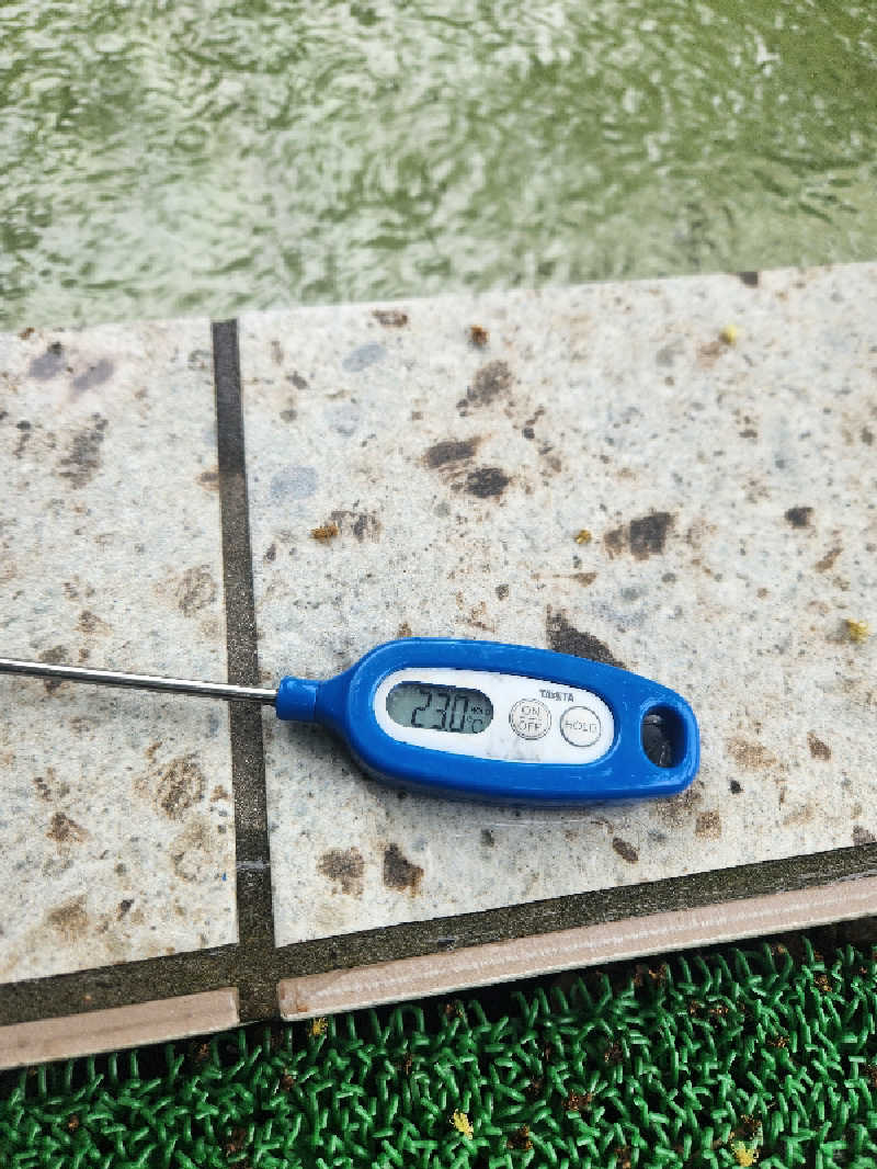 山の妖精さんのヤオツサウナ&スパイスのサ活写真