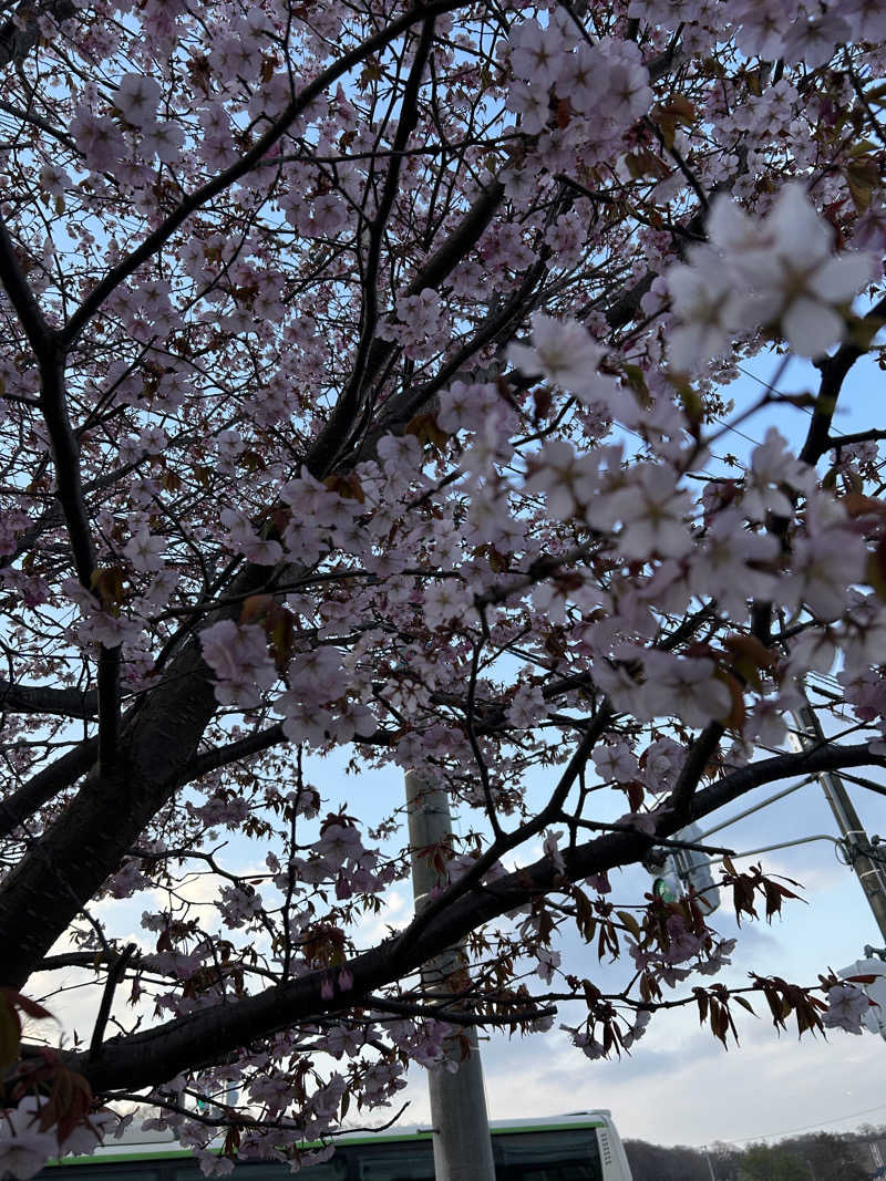 サウナウさんの千歳乃湯えんのサ活写真