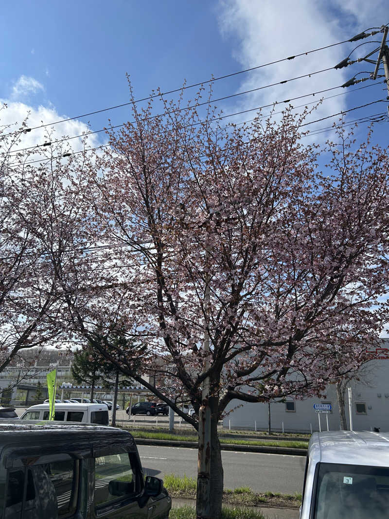 サウナウさんの千歳乃湯えんのサ活写真