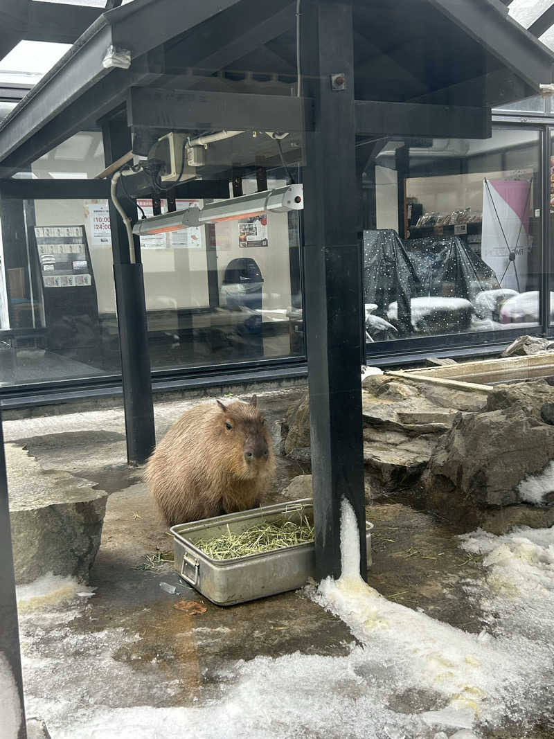 サウナウさんの石狩天然温泉 番屋の湯のサ活写真