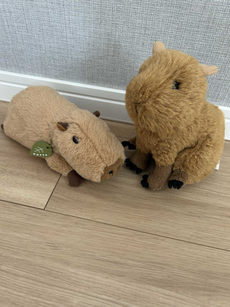 サウナウさんの石狩天然温泉 番屋の湯のサ活写真