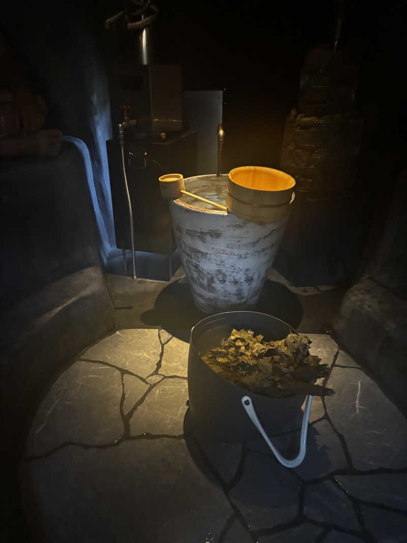 Aにゃんさんのサ郷kakeRuのサ活写真