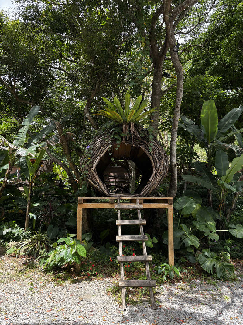 Aにゃんさんの亜熱帯サウナのサ活写真