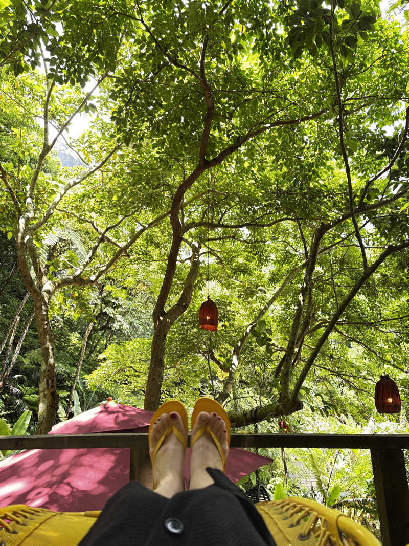 Aにゃんさんの亜熱帯サウナのサ活写真