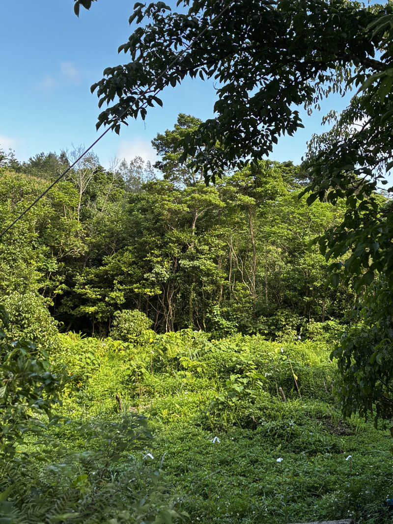 Aにゃんさんの亜熱帯サウナのサ活写真
