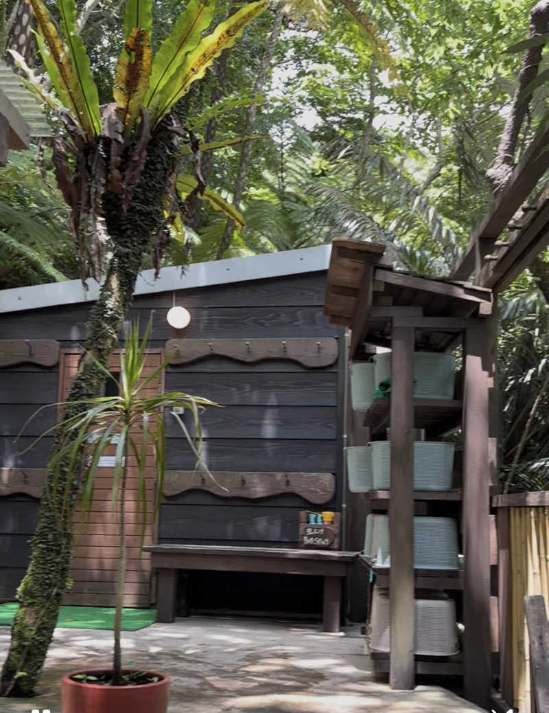 Aにゃんさんの亜熱帯サウナのサ活写真