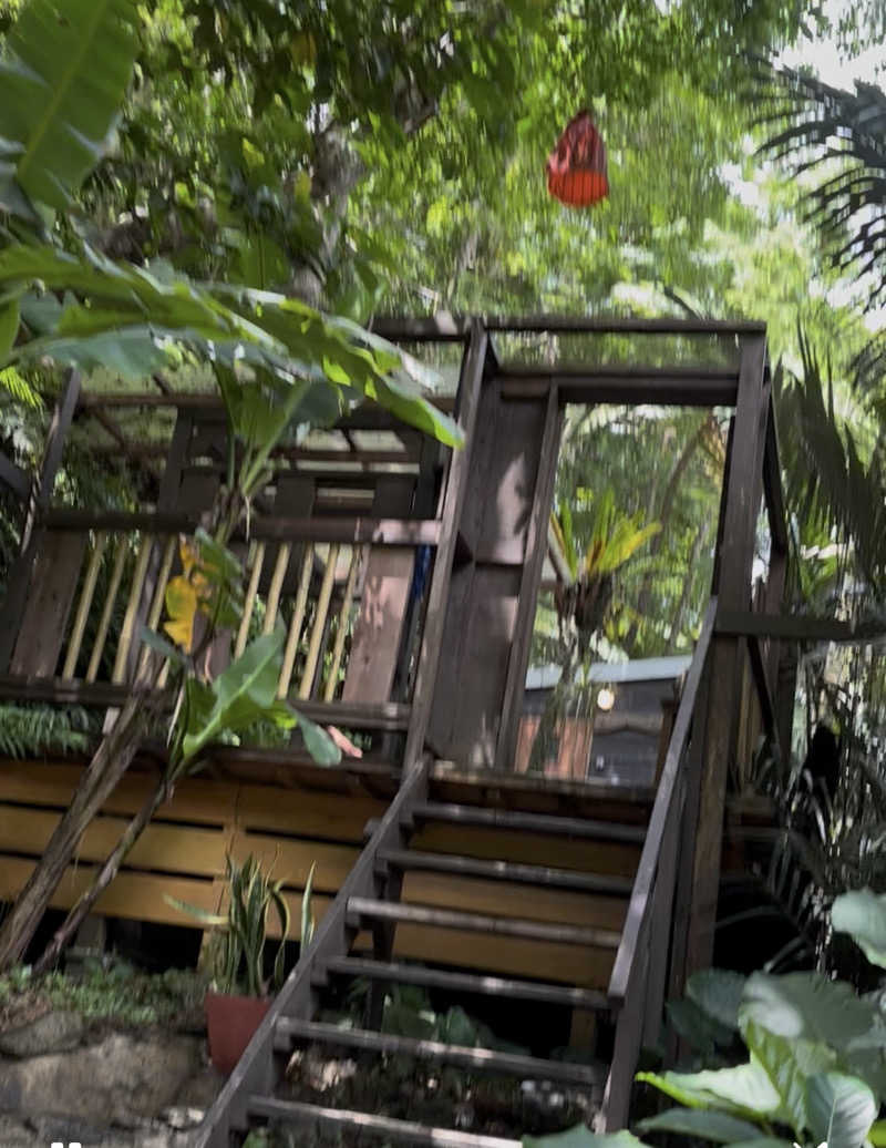 Aにゃんさんの亜熱帯サウナのサ活写真