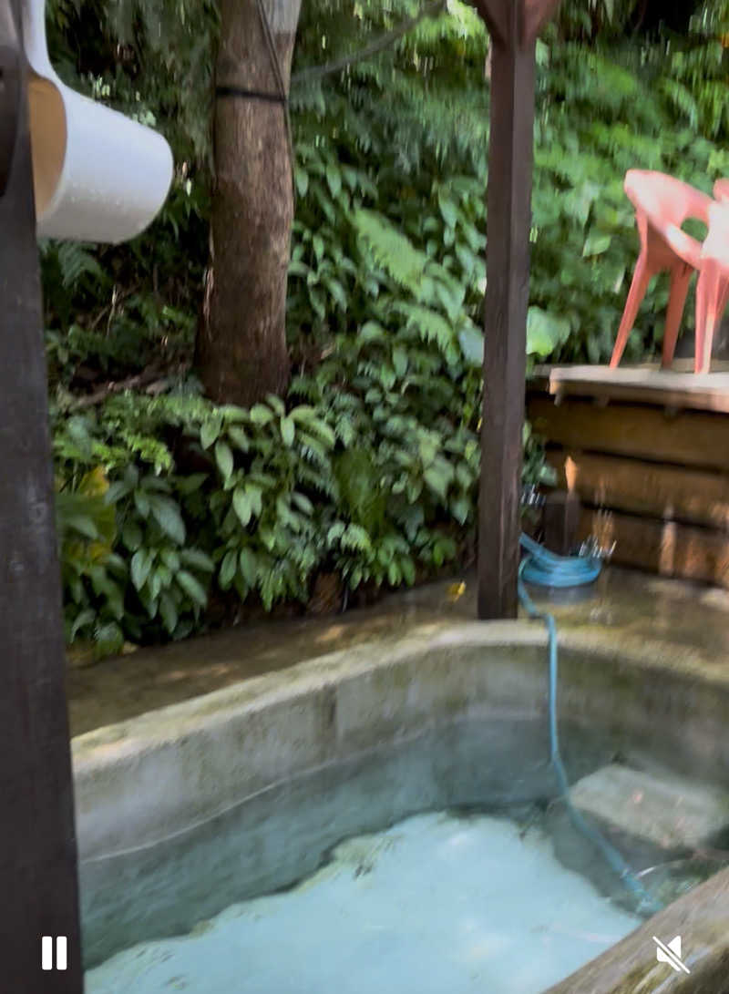 Aにゃんさんの亜熱帯サウナのサ活写真