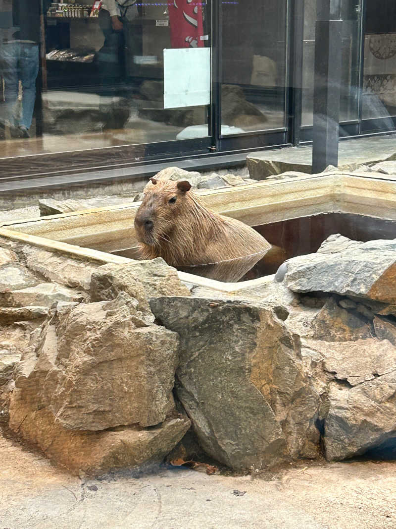 ふみさんの石狩天然温泉 番屋の湯のサ活写真