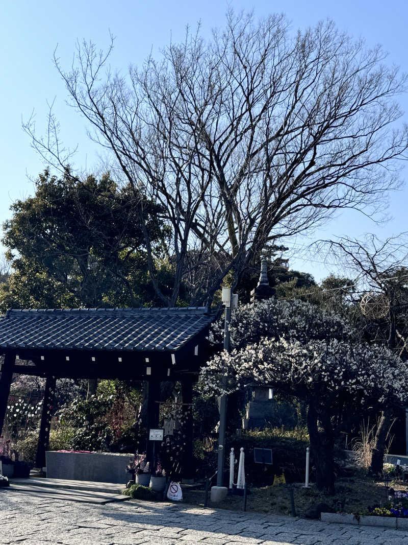 nanaさんのよみうりランド眺望温泉 花景の湯のサ活写真