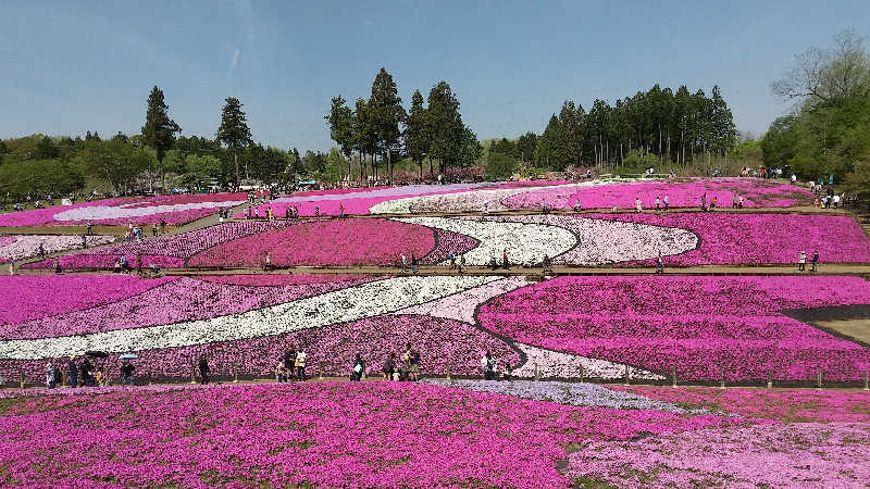 みなちゃんさんの花湯スパリゾートのサ活写真