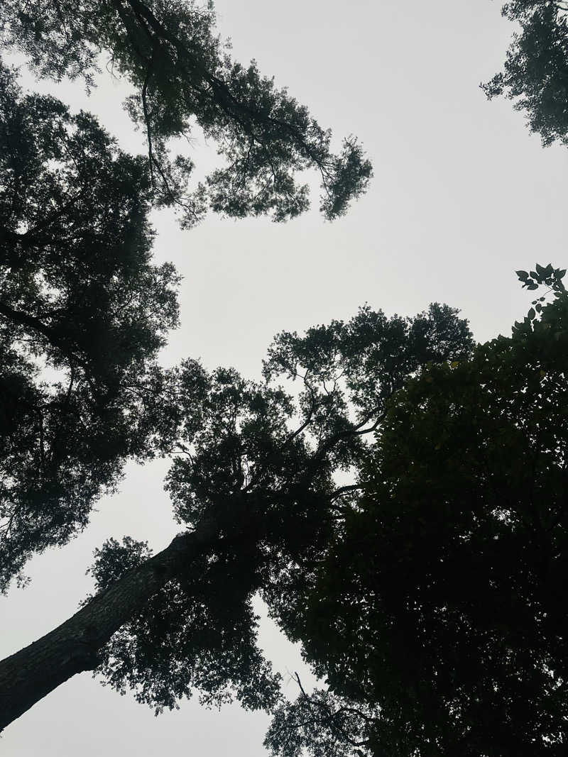 S.AさんのThe Saunaのサ活写真