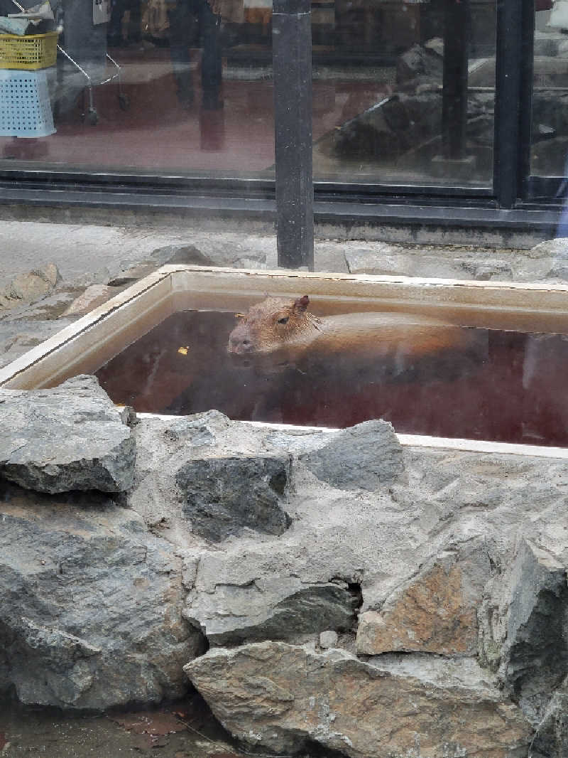 たたまるさんの石狩天然温泉 番屋の湯のサ活写真