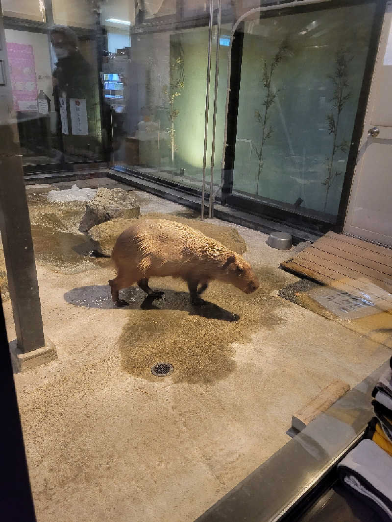 たたまるさんの石狩天然温泉 番屋の湯のサ活写真