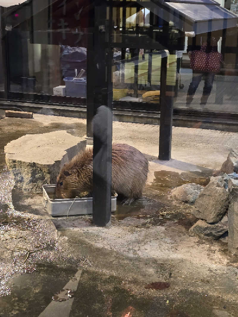 たたまるさんの石狩天然温泉 番屋の湯のサ活写真