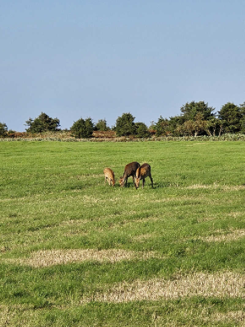 たたまるさんのホテルニュー幸林のサ活写真