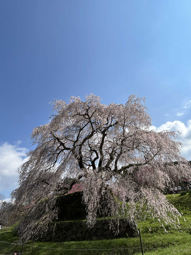 地球のサウナさんの御所宝湯のサ活写真