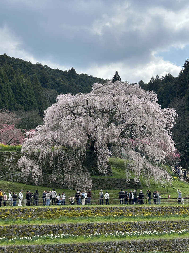 地球のサウナさんの御所宝湯のサ活写真