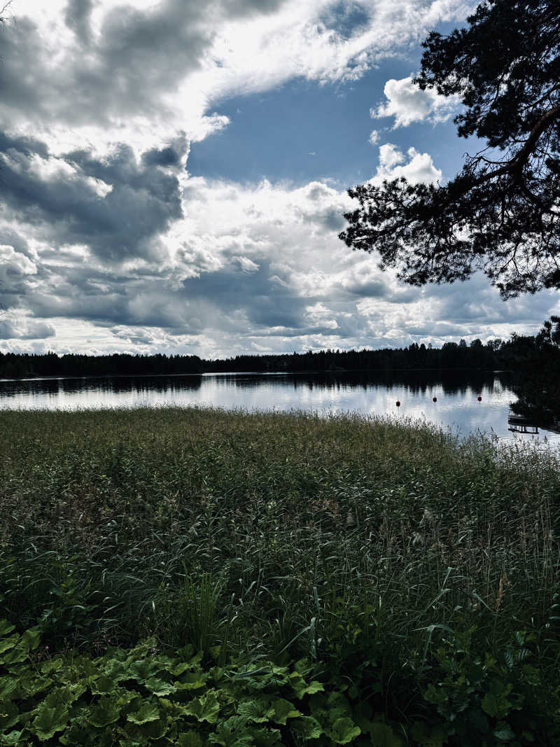 やぶい🐰さんのart sauna at serlachius museum at göstäのサ活写真