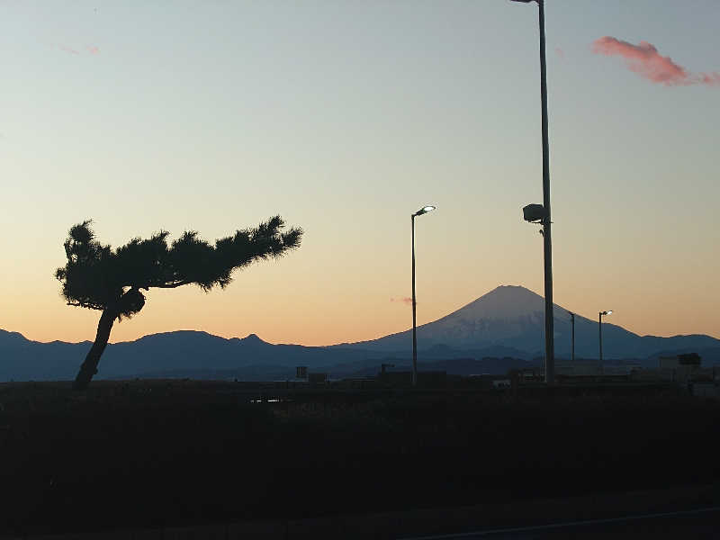 蒸しここち@rotooさんの天然温泉 小田原コロナの湯のサ活写真