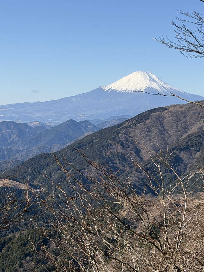 あべちん　えびさんの天然温泉 湯花楽厚木のサ活写真