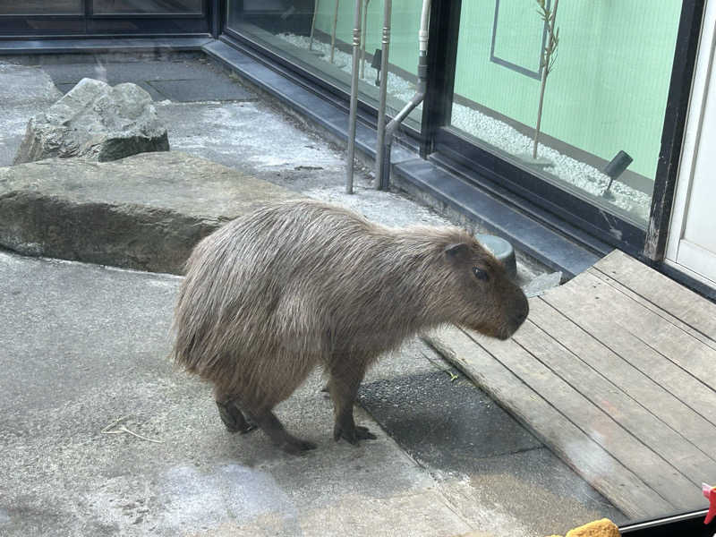 リュートオンザビーチさんの石狩天然温泉 番屋の湯のサ活写真