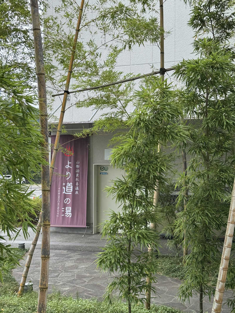 のばのら@GT+RRさんの山梨泊まれる温泉 より道の湯のサ活写真