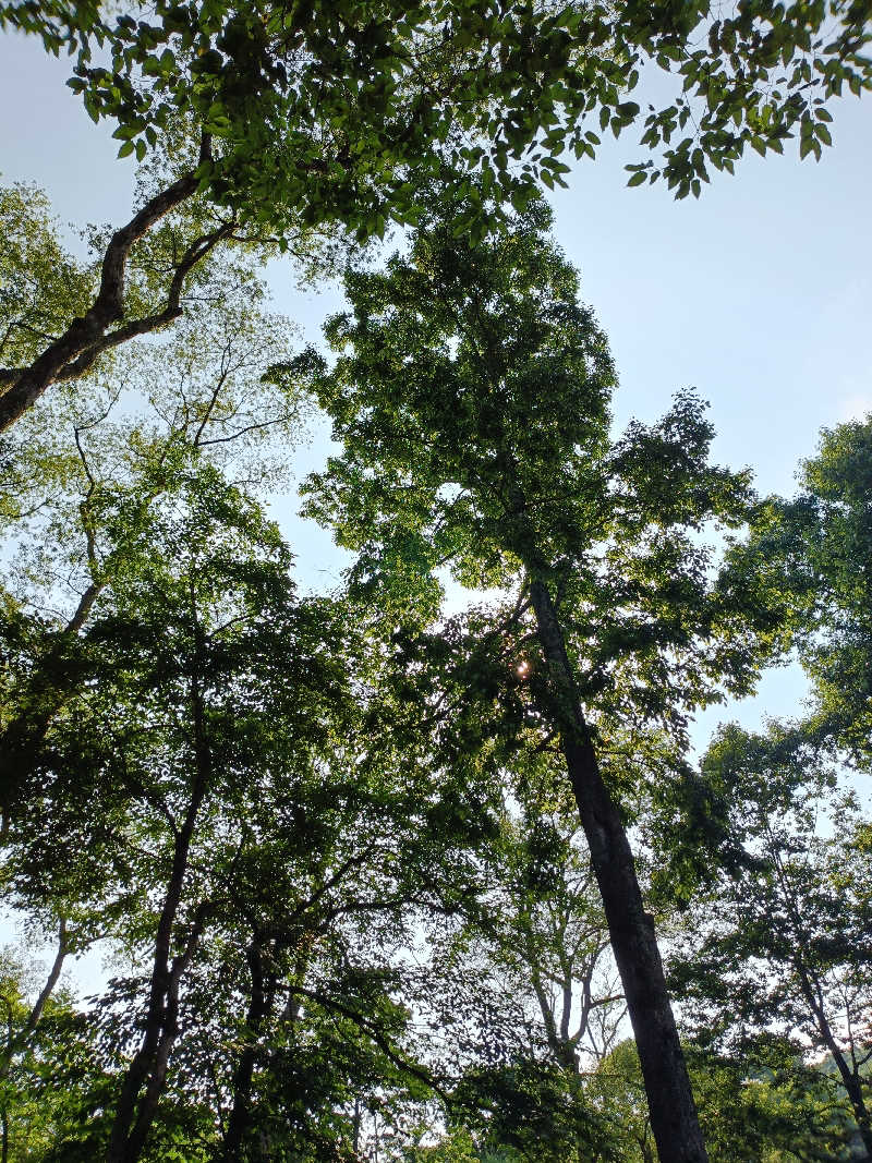 らいがーさんのThe Saunaのサ活写真