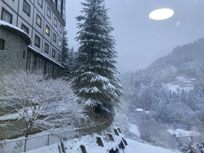 酒んすけさんの祖谷渓温泉 ホテル秘境の湯のサ活写真