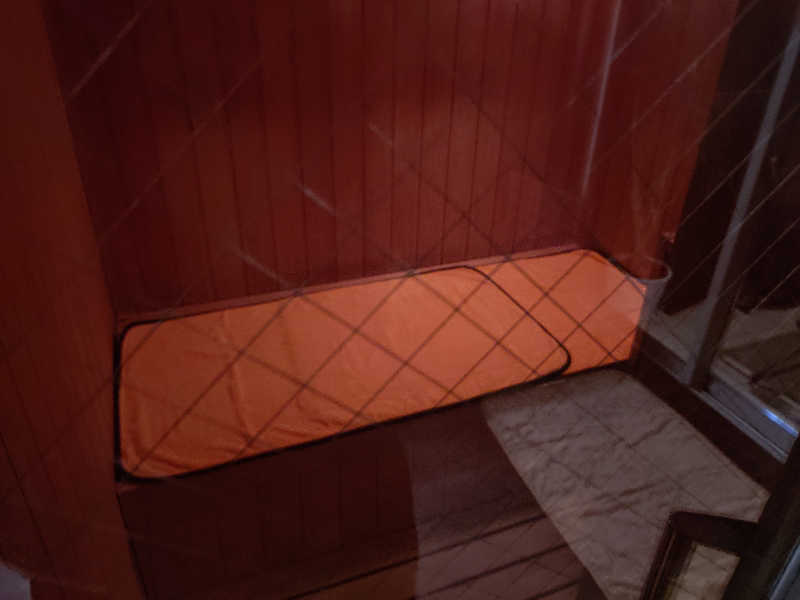 はやたろうさんのSo You(ソーユー)のサ活写真