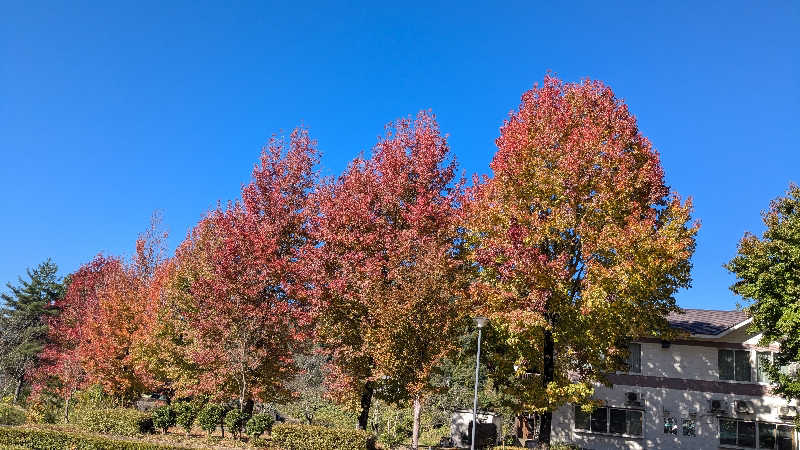 CLOSEDさんの勝山温泉センター 水芭蕉のサ活写真