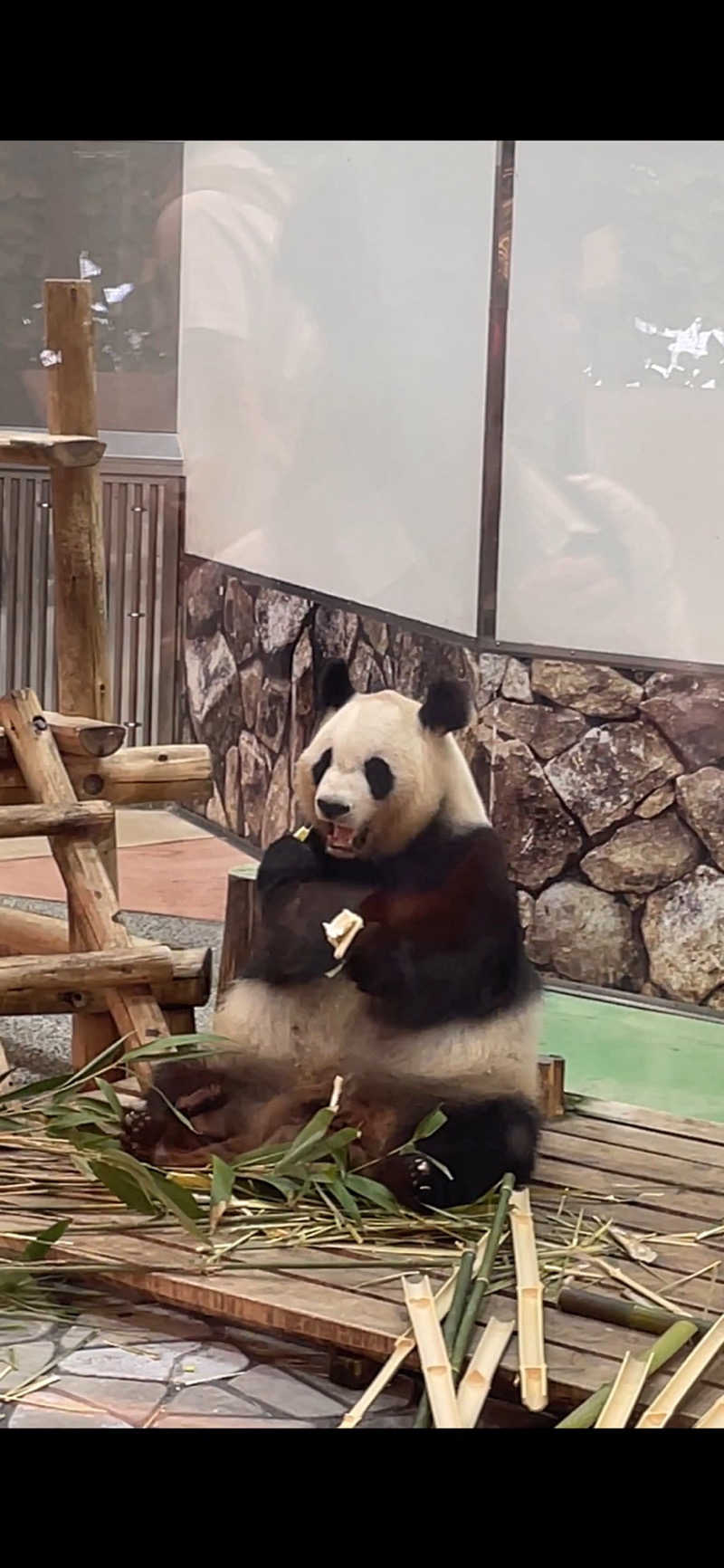 ニシカワさんのSHIRAHAMA KEYTERRACE ホテルシーモアのサ活写真