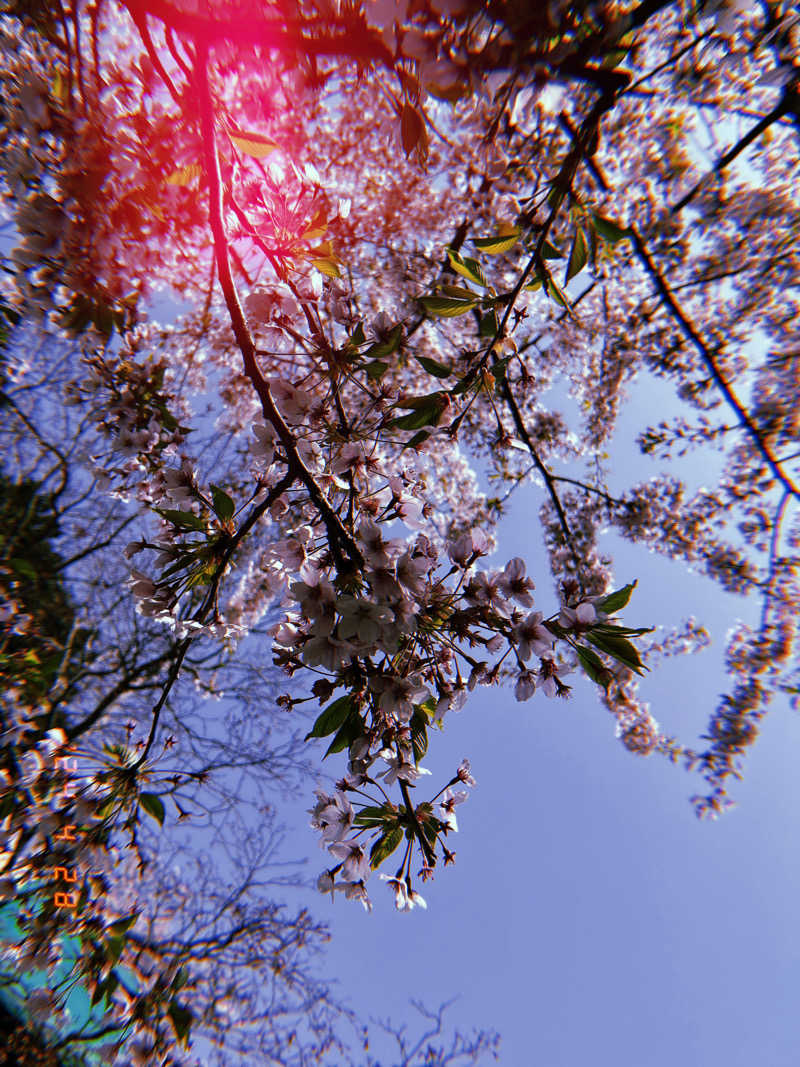 のんさんの函館高温源泉 湯の箱こみちのサ活写真